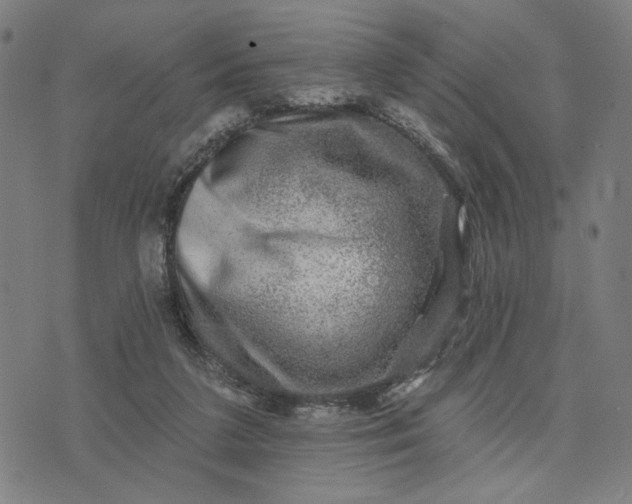 X0000074260211200609081744