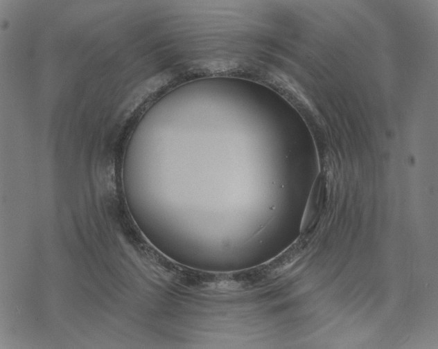 X0000074260212200609081744