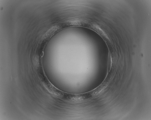 X0000074260213200609081744