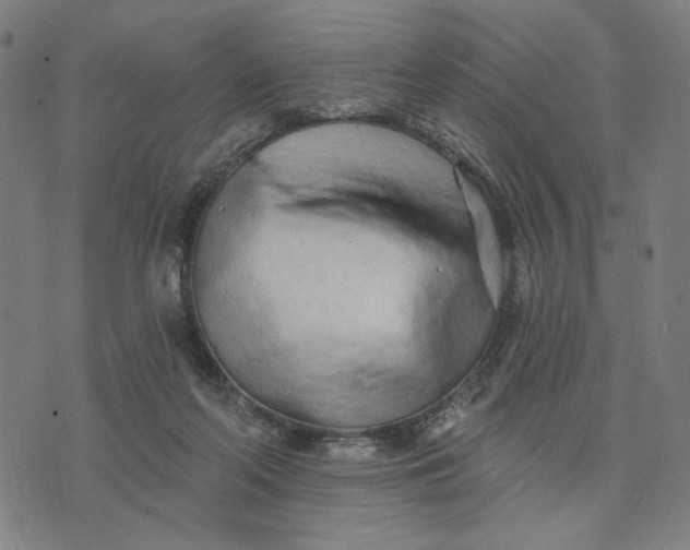 X0000074260214200609081744