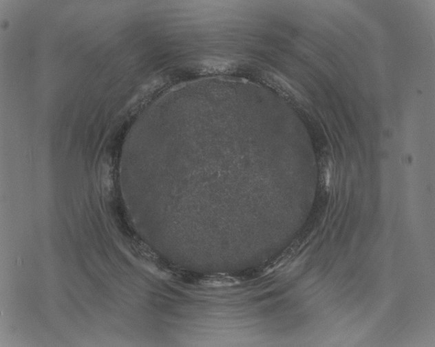 X0000074260215200609081744