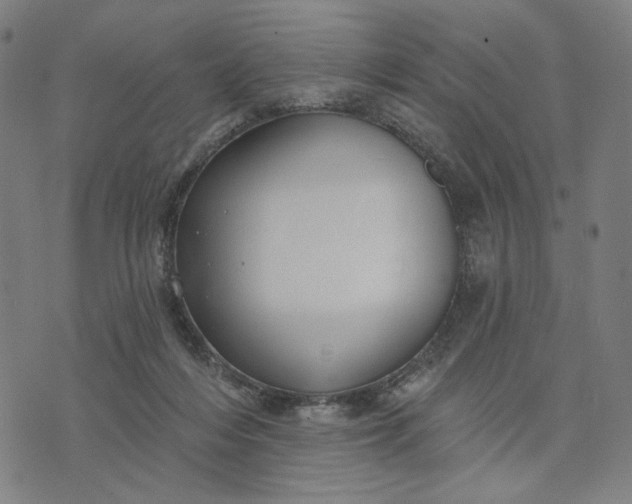 X0000074260216200609081744