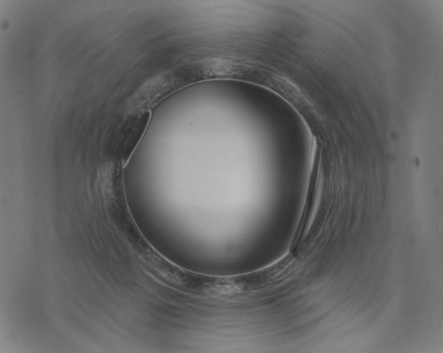 X0000074260217200609081744