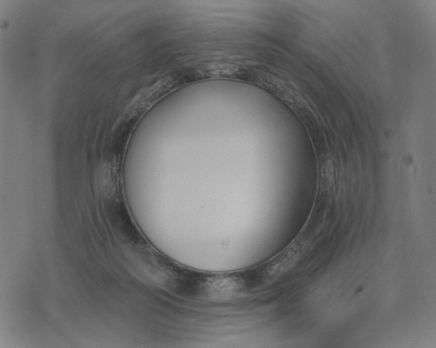 X0000074260218200609081744