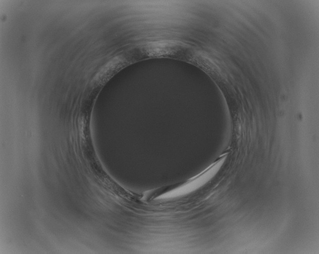 X0000074260219200609081744