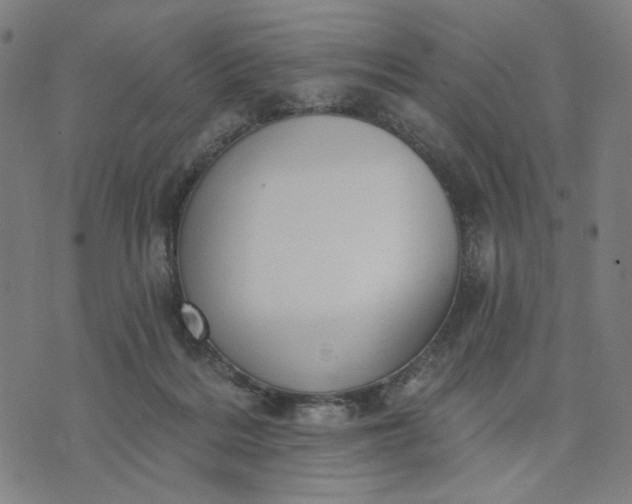 X0000074260220200609081744