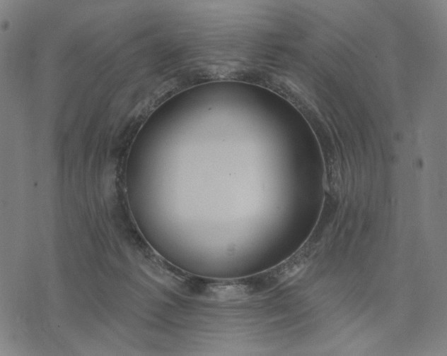 X0000074260221200609081744