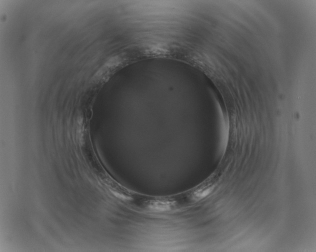 X0000074260223200609081744