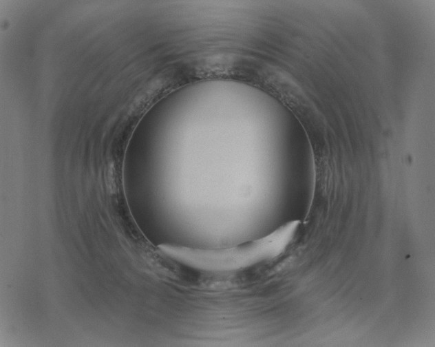 X0000074260224200609081744