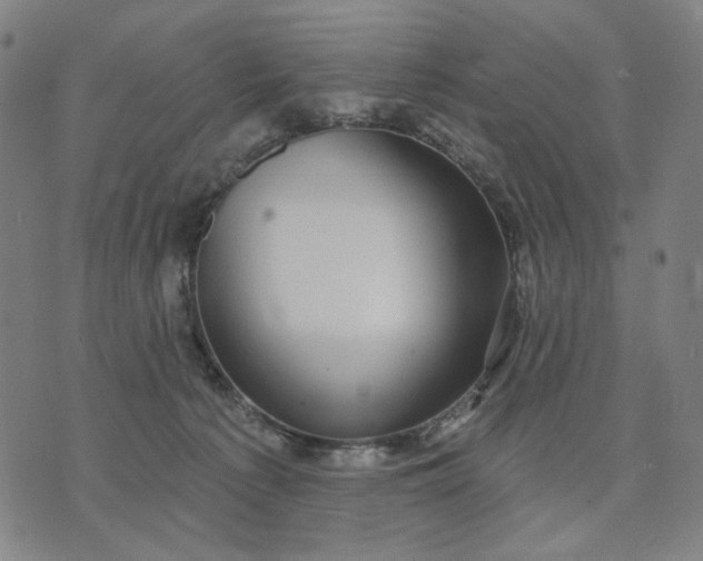 X0000074260225200609081744