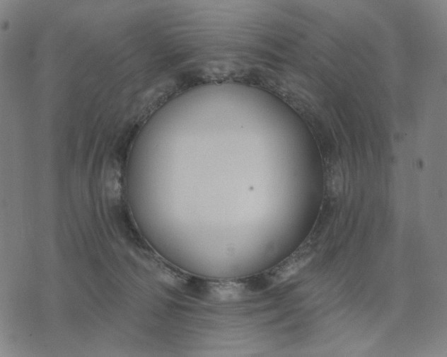 X0000074260226200609081744