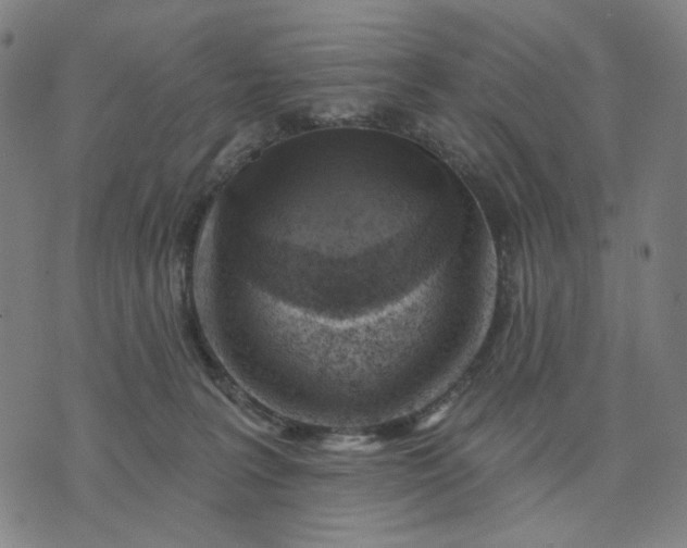 X0000074260227200609081744