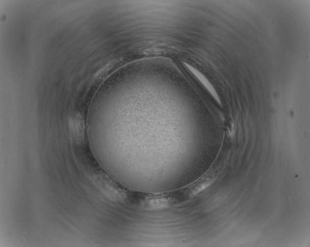 X0000074260228200609081744