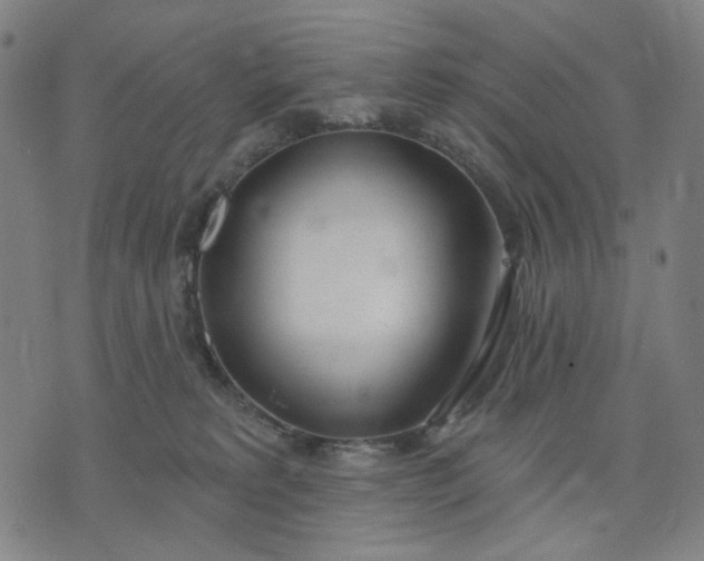 X0000074260229200609081744