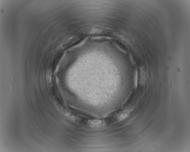 X0000074260230200609081744