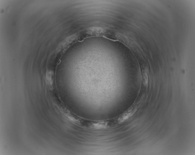 X0000074260232200609081744