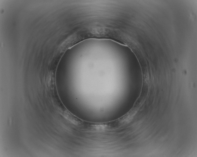 X0000074260233200609081744