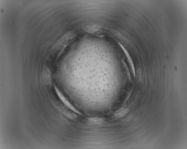 X0000074260234200609081744