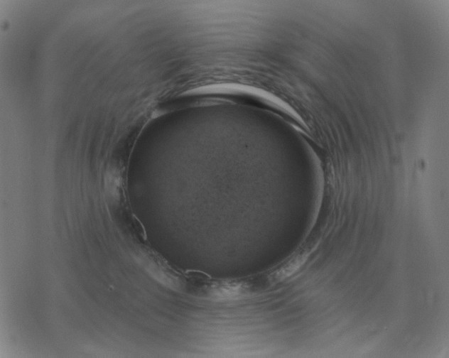 X0000074260235200609081744