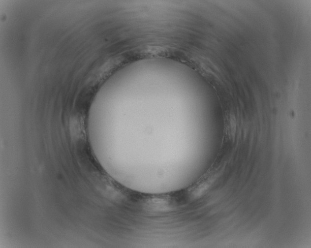 X0000074260236200609081744