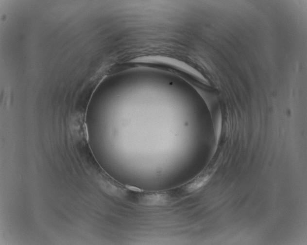 X0000074260237200609081744