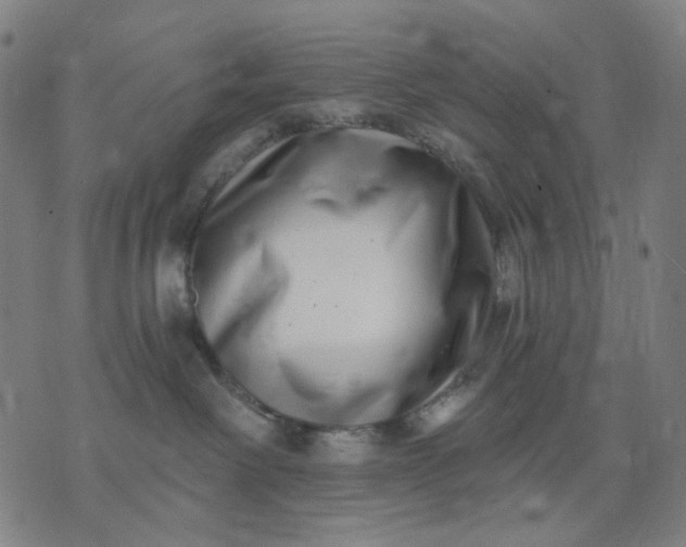 X0000074260238200609081744