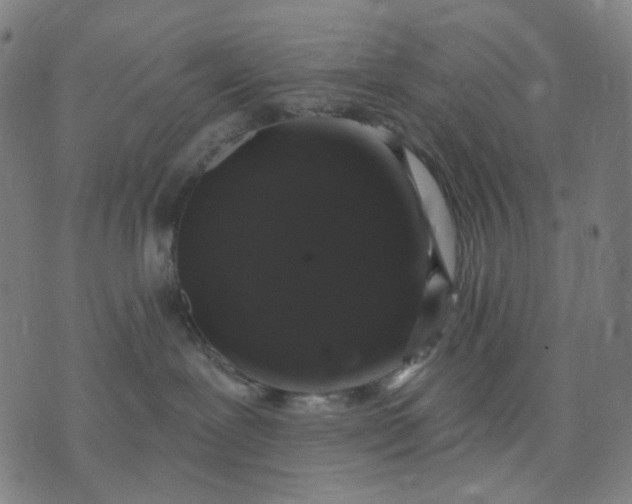 X0000074260239200609081744