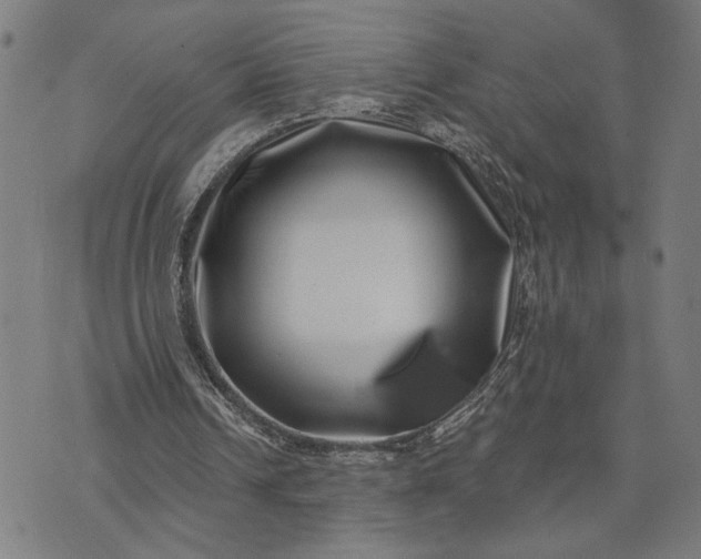 X0000074260242200609081743