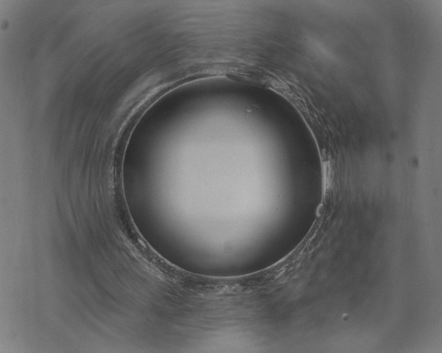 X0000074260243200609081743