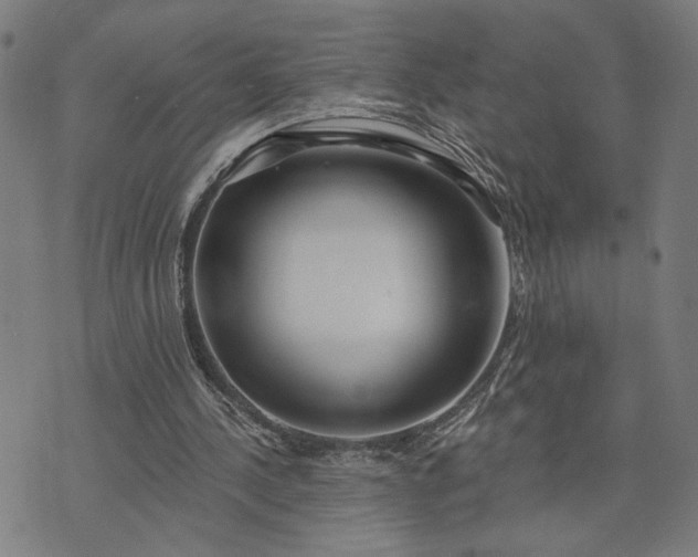 X0000074260244200609081743