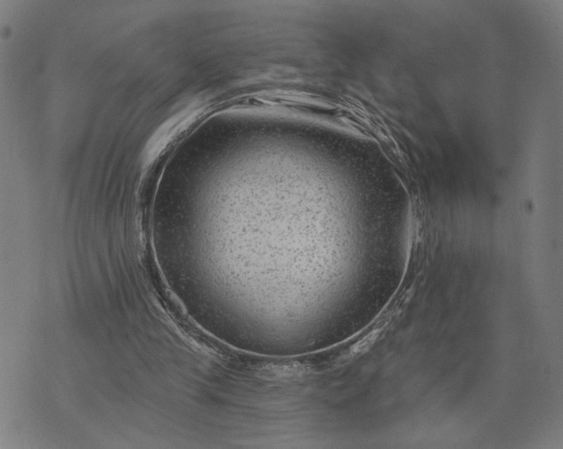 X0000074260245200609081743