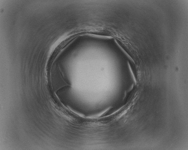 X0000074260246200609081743