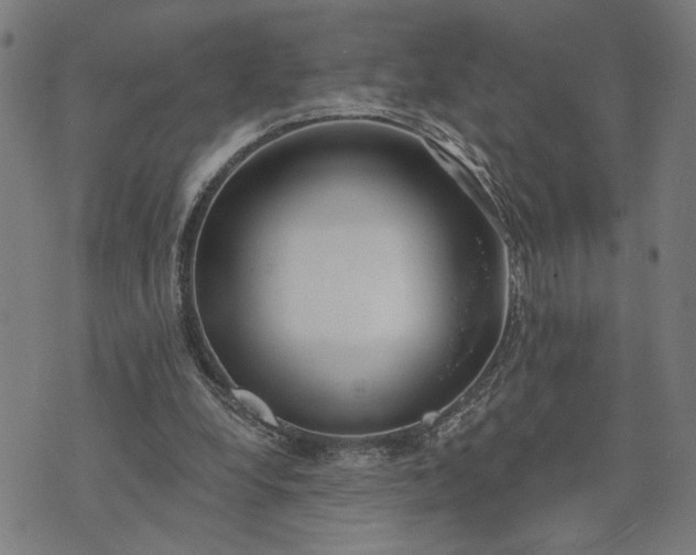 X0000074260248200609081743