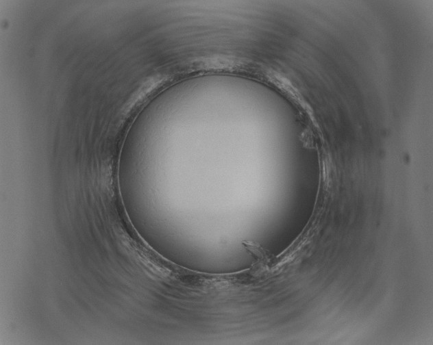 X0000074260249200609081743