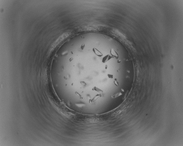 X0000074260250200609081743