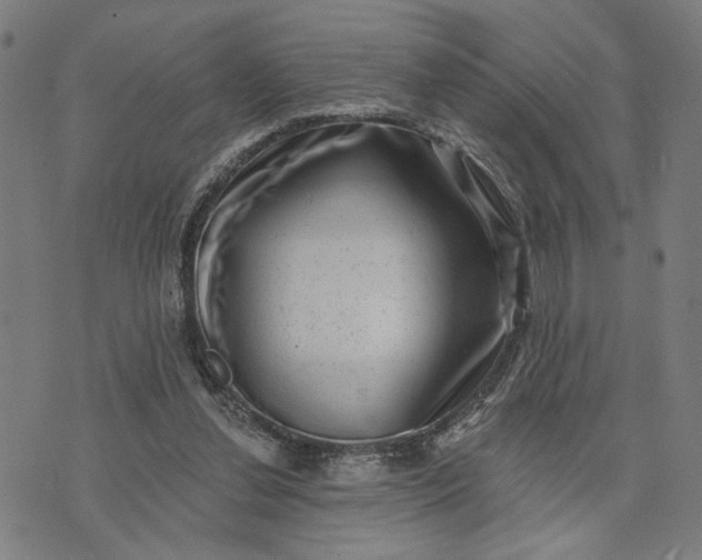 X0000074260252200609081743