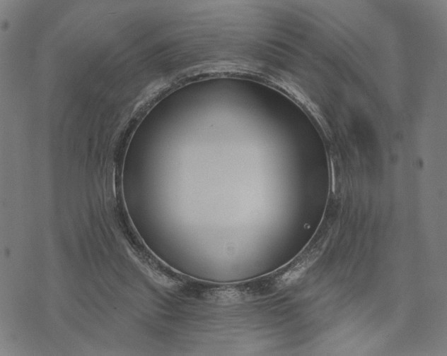 X0000074260253200609081743