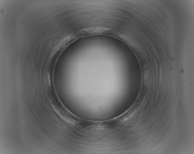 X0000074260254200609081743