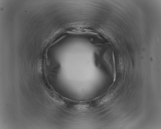 X0000074260255200609081743