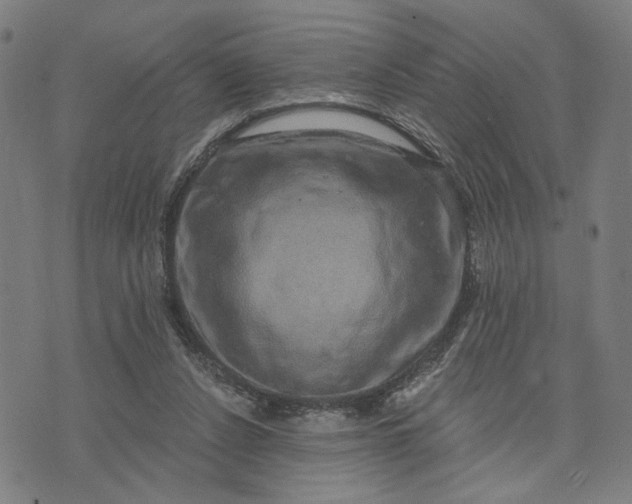 X0000074260256200609081743