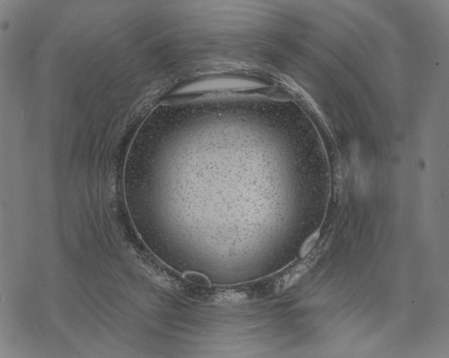 X0000074260257200609081743