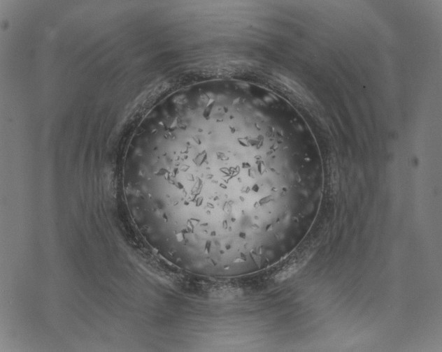 X0000074260258200609081743