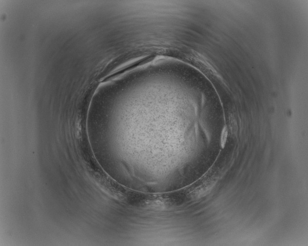 X0000074260259200609081743