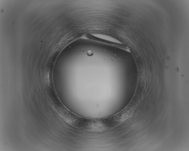 X0000074260262200609081743