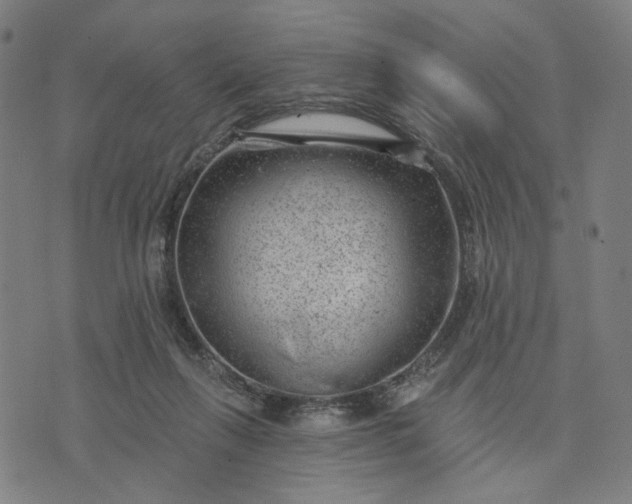 X0000074260263200609081743