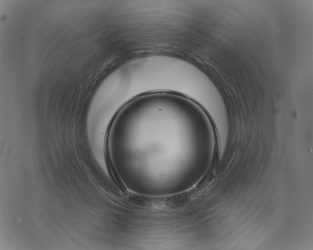 X0000074260264200609081743