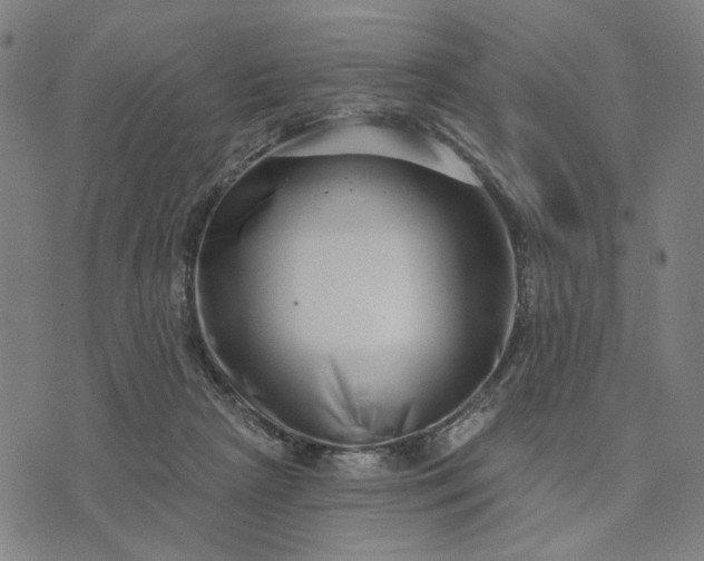 X0000074260265200609081743