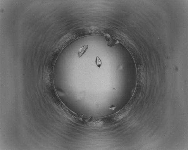 X0000074260266200609081743