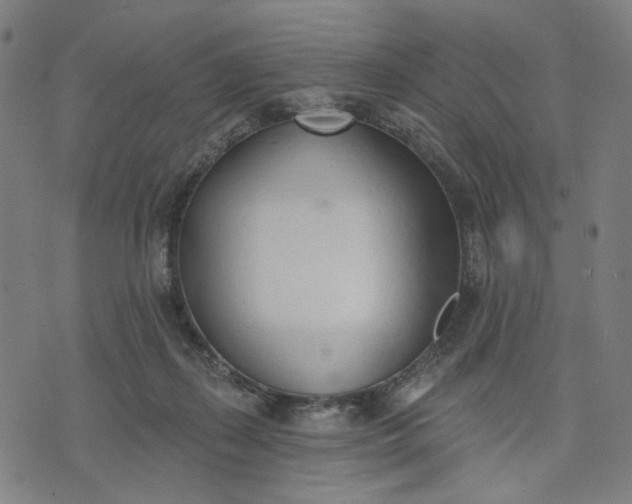 X0000074260267200609081743