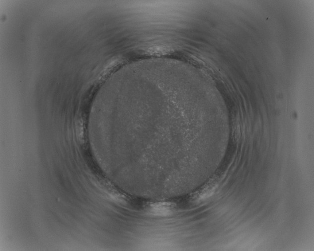 X0000074260268200609081743